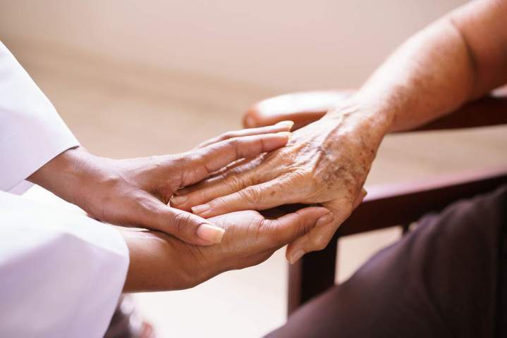 What Services Are Typically Offered at Adult Day Care Centers?<br/>What Kind of Services Do Adult Day Care Facilities Usually Provide? <br/>Which Services Are Commonly Provided by Adult Day Care Facilities?